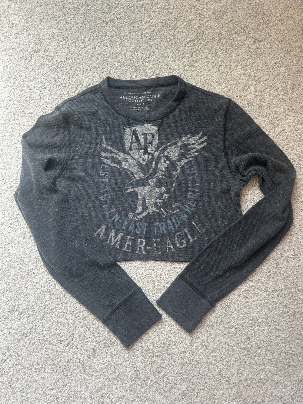 American Eagle Outfitters Dark Gray Cropped Graphic Crewneck Sweater